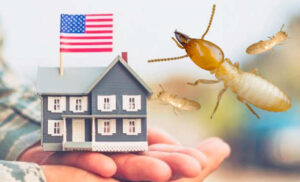 fha va loan free termite inspection